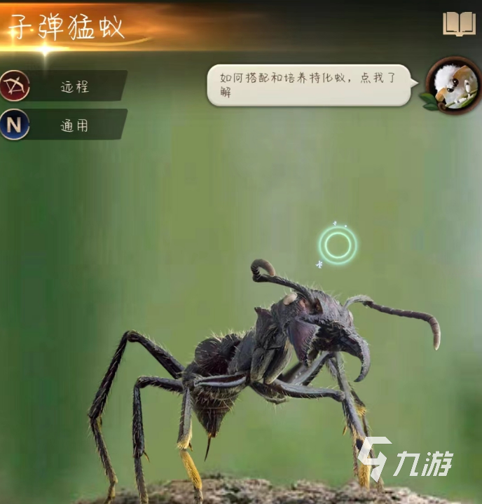 小小蚁国子弹猛蚁组合怎么搭配 子弹猛蚁阵容搭配攻略