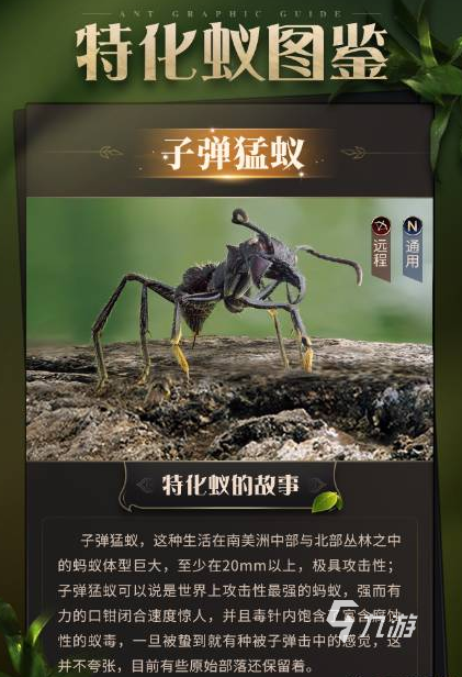 小小蚁国子弹猛蚁组合怎么搭配 子弹猛蚁阵容搭配攻略