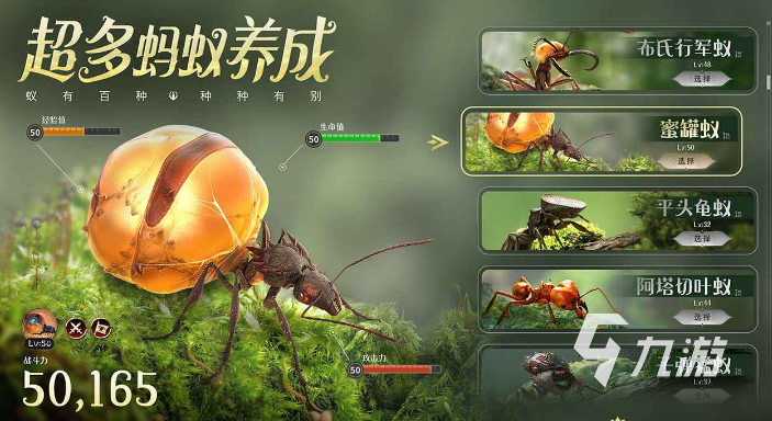 小小蚁国蚂蚁王是谁 蚂蚁实力技能排行榜