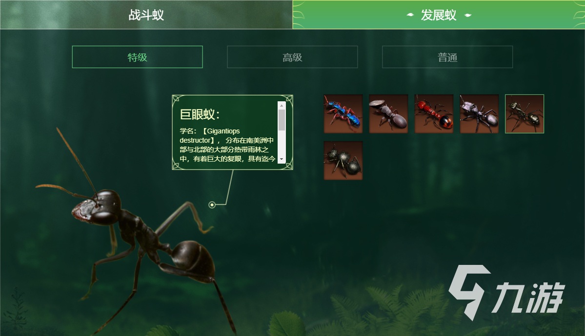 小小蚁国蚂蚁排行 小小蚁国强力蚂蚁选择推荐