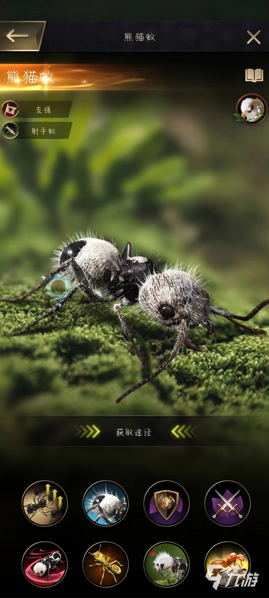 小小蚁国什么蚂蚁最厉害 小小蚁国各种特化蚁排行一览
