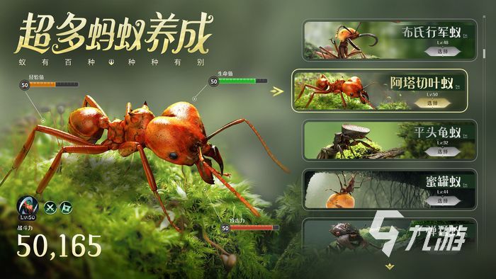 小小蚁国兑换码在哪领 兑换码领取地点分享