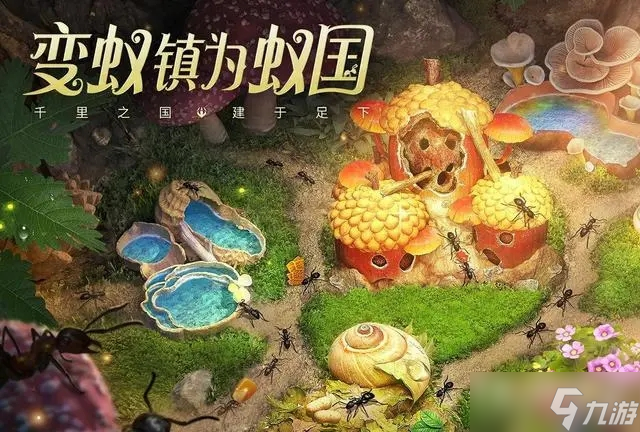 《小小蚁国》初期进化类型选择推荐