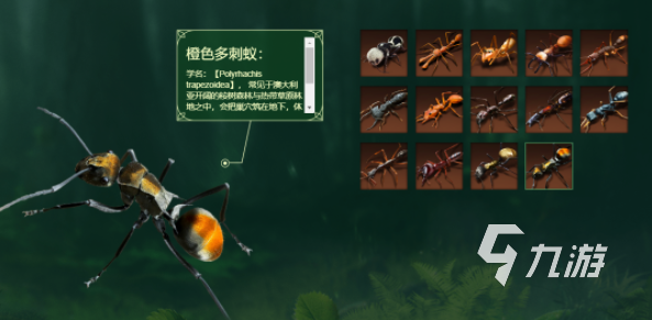 小小蚁国橙色蚂蚁推荐 最强橙色蚂蚁实力介绍