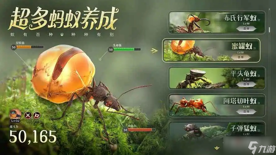 《小小蚁国》猎虫蝽培养攻略