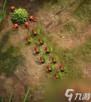 小小蚁国搬砖攻略