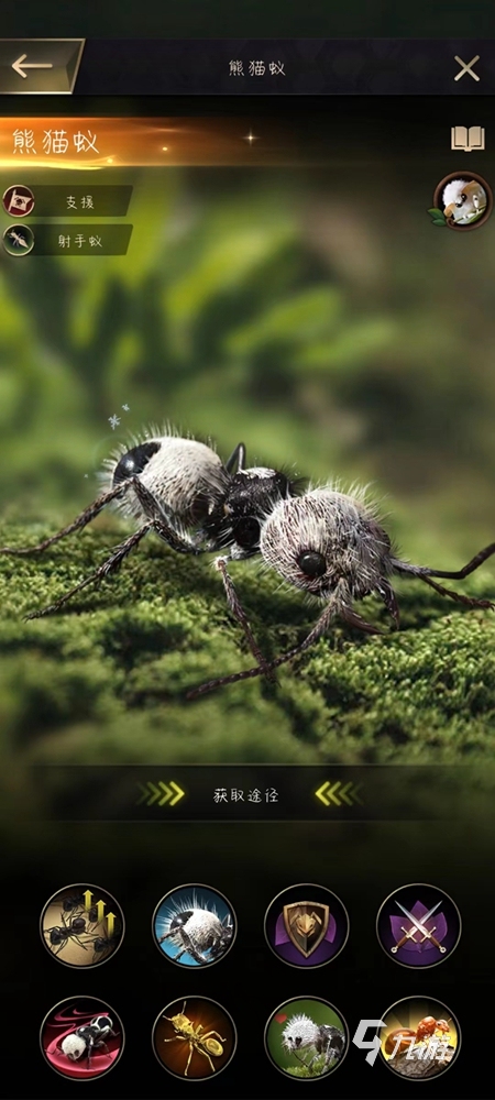 小小蚁国组合特化蚁搭配 特化蚁搭配玩法讲解