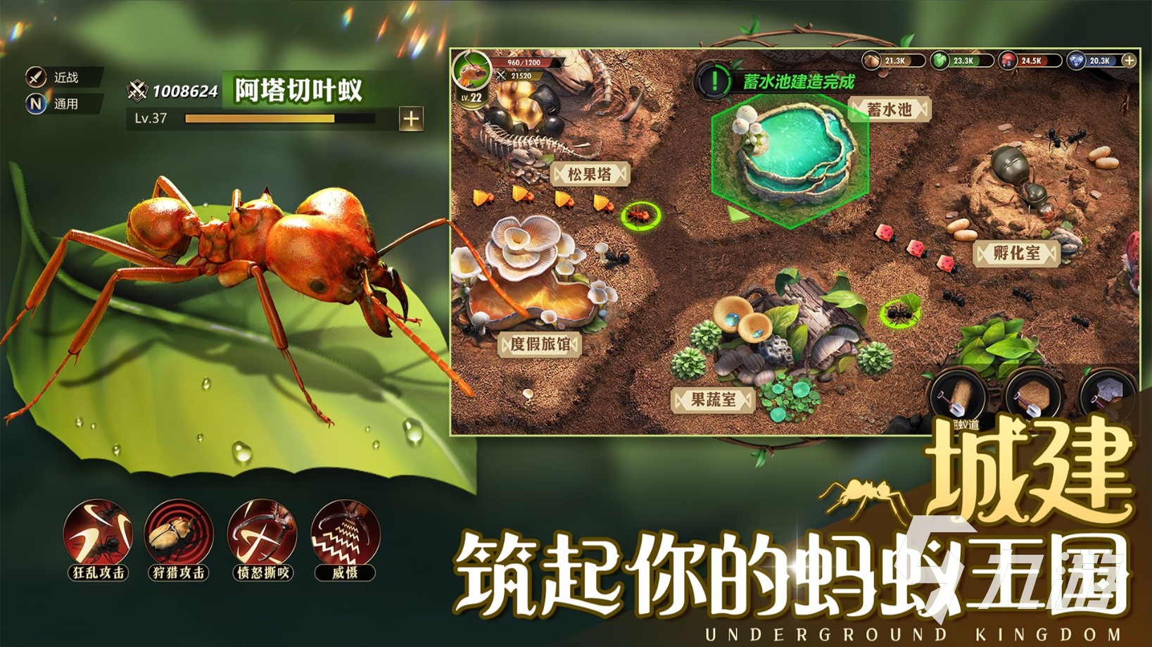 小小蚁国蚂蚁排行 小小蚁国强力蚂蚁选择推荐