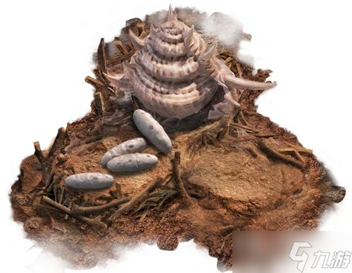 《小小蚁国》兵蚁介绍