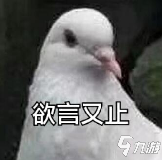 CF手游活动先知:存钻宝葫芦即将上线,王者轮回有消息了!