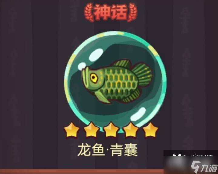 咸鱼之王龙鱼青囊搭配推荐