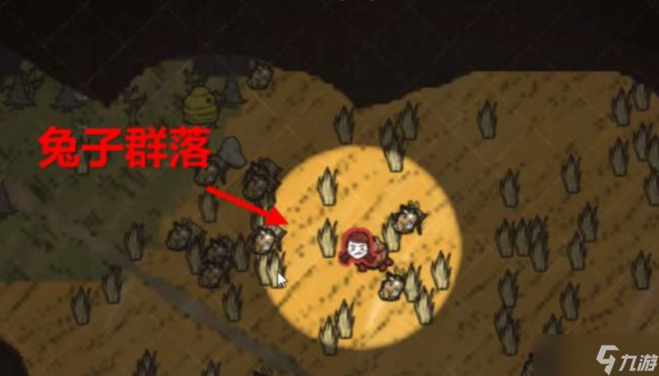 饥荒怎么养兔子