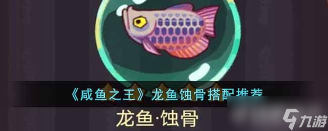 咸鱼之王龙鱼蚀骨搭配推荐