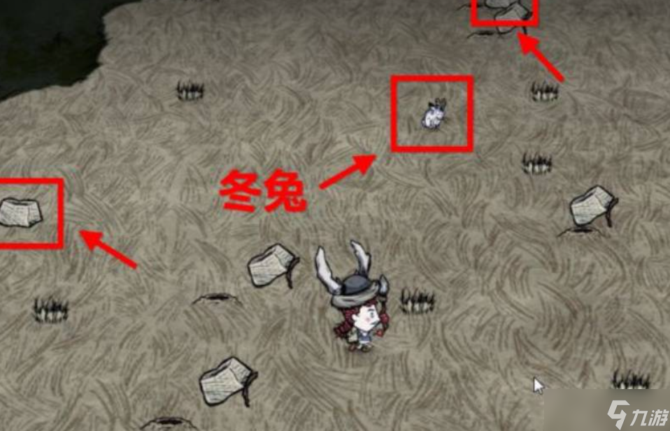 饥荒怎么养兔子
