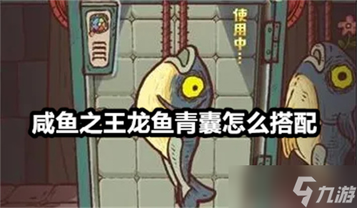 咸鱼之王龙鱼青囊怎么搭配