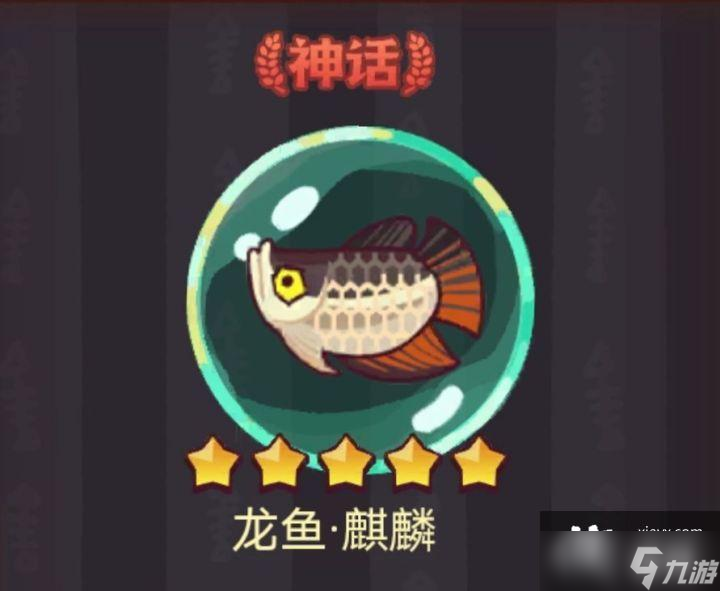 咸鱼之王龙鱼麒麟搭配推荐
