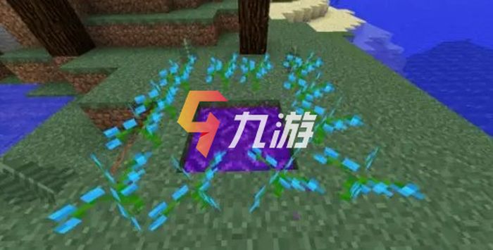 附件1647505199.jpg