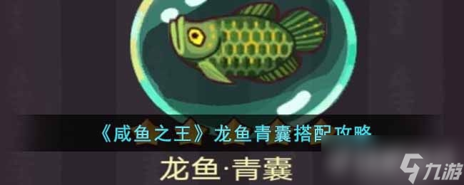 咸鱼之王龙鱼青囊搭配攻略