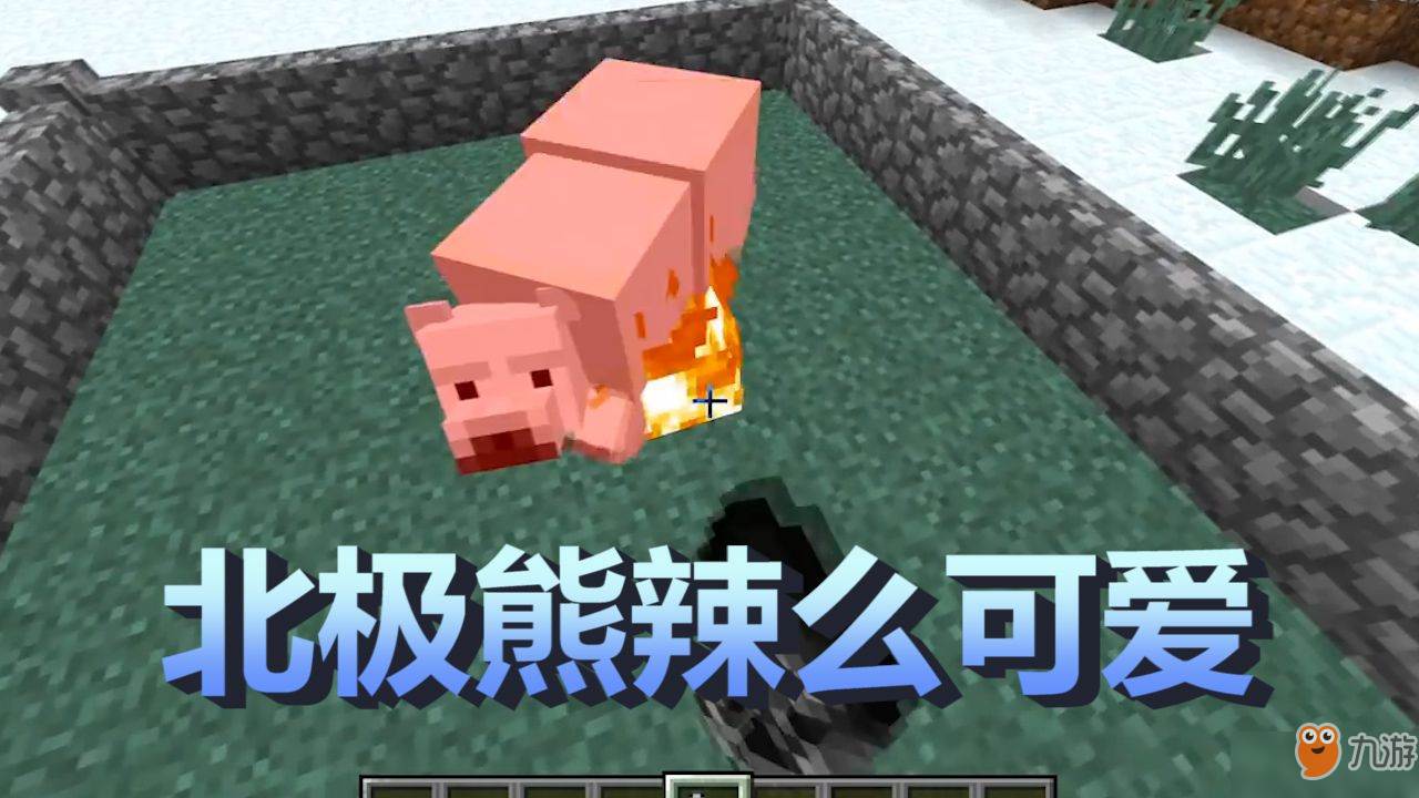 我的世界：4个关于北极熊你不知道的事儿，是真正的冷知识哦！[多图]