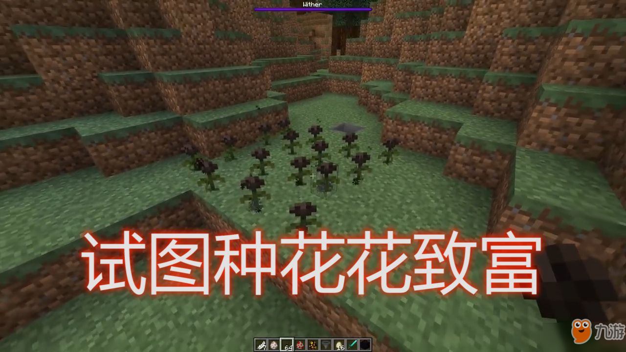 我的世界：一朵自死亡之中绽放的玫瑰，所带来的永远只是凋零死亡[多图]