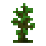 [植物和其他]树苗