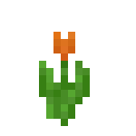 [植物和其他]花