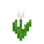 [植物和其他]花