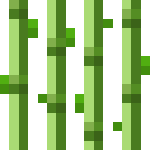 [植物和其他]甘蔗