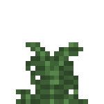 [植物和其他]草丛
