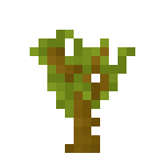 [植物和其他]树苗