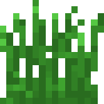 [植物和其他]草丛