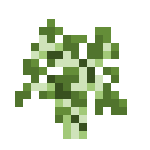 [植物和其他]树苗