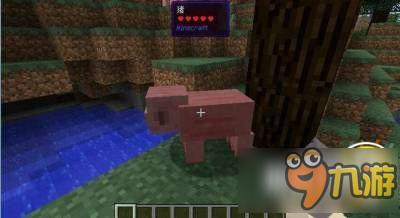 我的世界中国版1.10.2 额外信息显示MOD下载