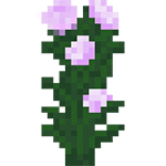 [植物和其他]花