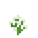 [植物和其他]花