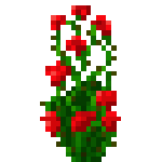 [植物和其他]花
