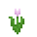 [植物和其他]花