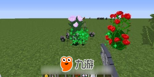 我的世界花怎么繁殖 花有什么用