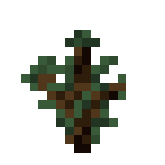 [植物和其他]树苗