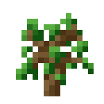 [植物和其他]树苗