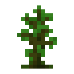 [植物和其他]树苗