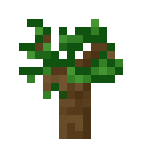 [植物和其他]树苗