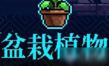 《霓虹深渊》盆栽植物介绍