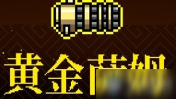 《霓虹深渊》黄金萨姆介绍