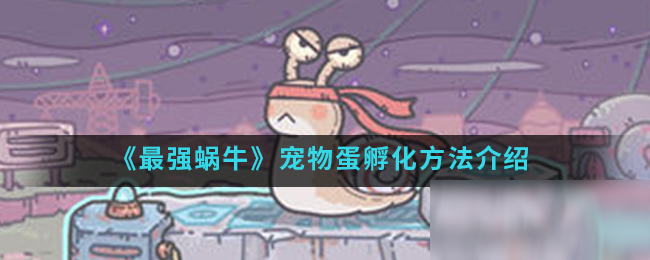 《最强蜗牛》宠物蛋孵化方法介绍
