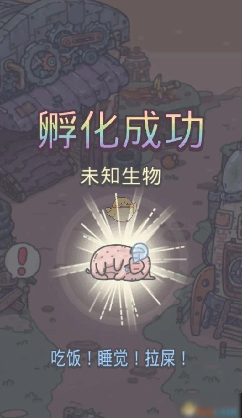 《最强蜗牛》宠物蛋孵化方法介绍