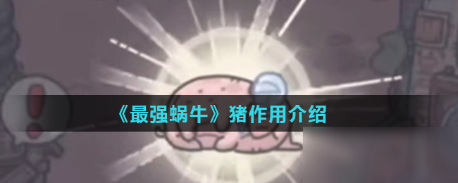 《最强蜗牛》猪作用介绍