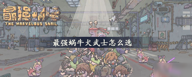 最强蜗牛犬武士怎么选