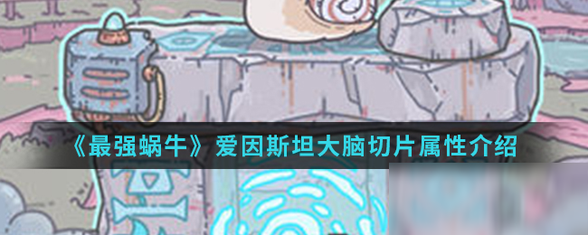 《最强蜗牛》爱因斯坦大脑切片属性介绍