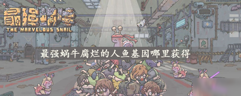 最强蜗牛腐烂的人鱼基因哪里获得